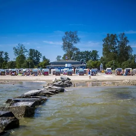 An Der Randow Kranich