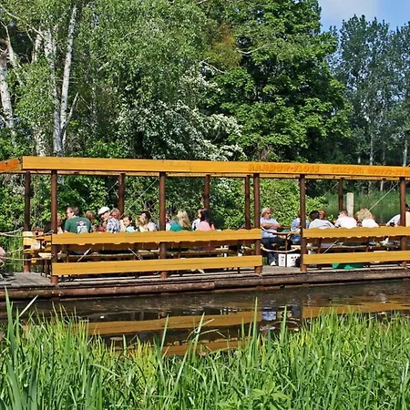 An Der Randow Kranich *